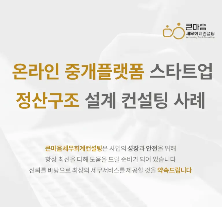 온라인-중개플랫폼-스타트업-정산구조-설계-컨설팅-사례_표지