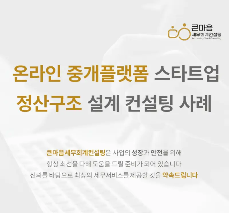 온라인-중개플랫폼-스타트업-정산구조-설계-컨설팅-사례_표지