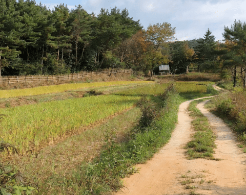 자경농민 부당 추징 실무 사례 인포그래픽