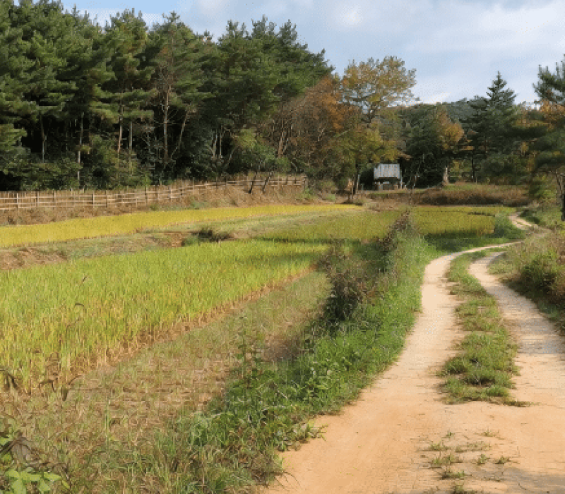 자경농민 부당 추징 실무 사례 인포그래픽